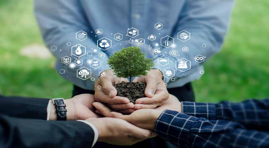 Nanjing Liwei Chemical Co., Ltd